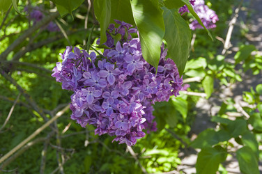 Similar image 21833350