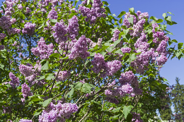 Similar image 21833351