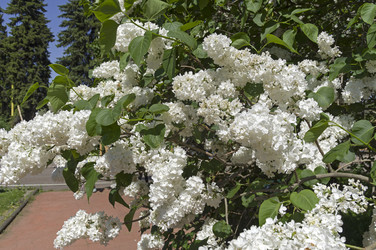 Similar image 21833354