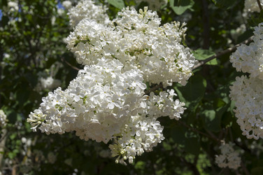 Similar image 21833355