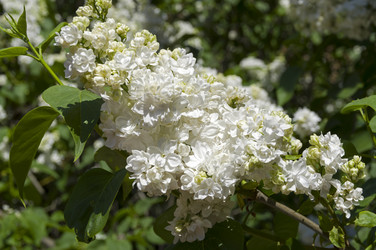 Similar image 21833356