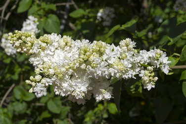 Similar image 21833357