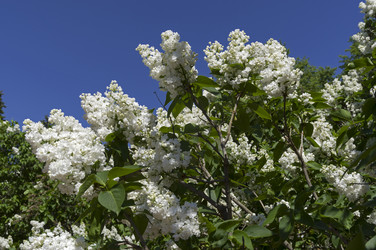 Similar image 21833358