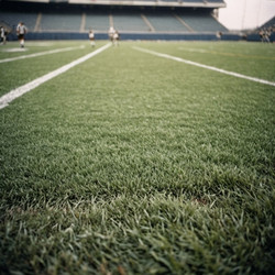 Similar image 21846349