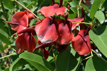 Similar image 21835296