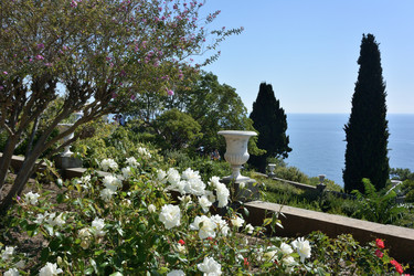 Similar image 21835301