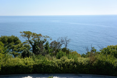 Similar image 21835306