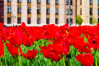 Similar image 21845840