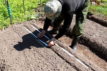 Similar image 21835321