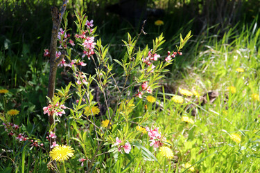 Similar image 21835322