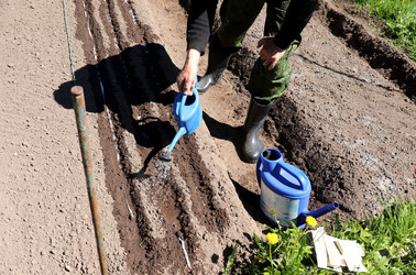 Similar image 21835323