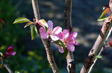 Similar image 21835324