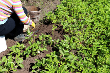 Similar image 21835326