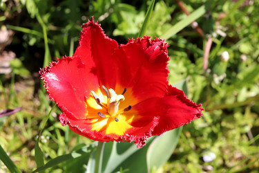 Similar image 21835327