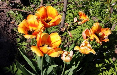 Similar image 21835329