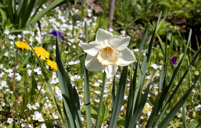 Similar image 21835330