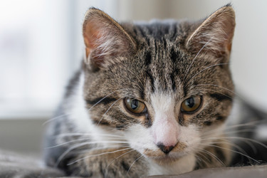 Similar image 21835333