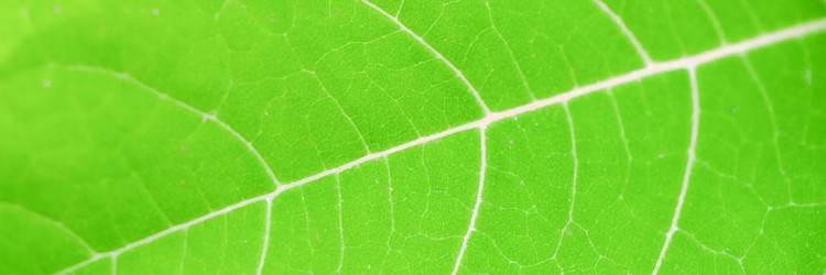 Similar image 21835334