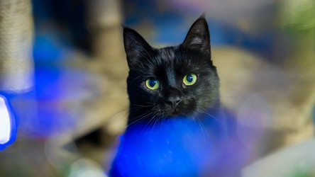 Similar image 21835337