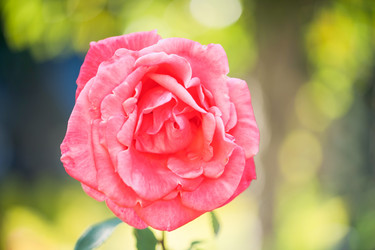 Similar image 21835338