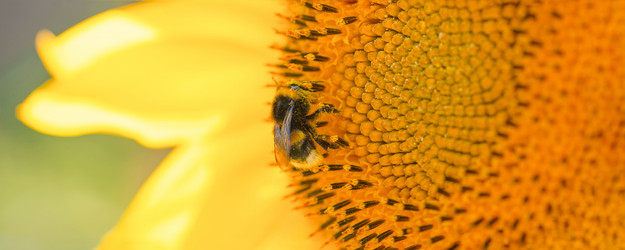 Similar image 21835339