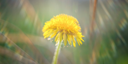 Similar image 21835341