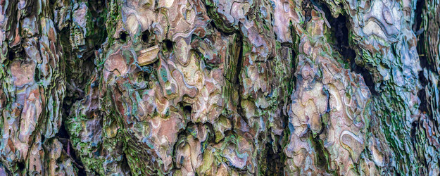 Similar image 21835347