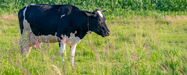 Similar image 21835351