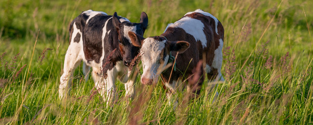 Similar image 21835352