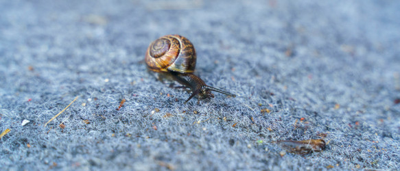 Similar image 21835357