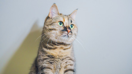 Similar image 21835366