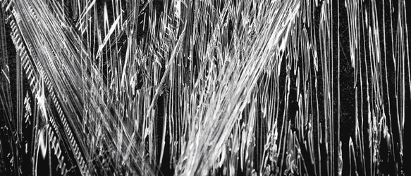 Similar image 21835367