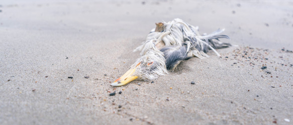 Similar image 21835377