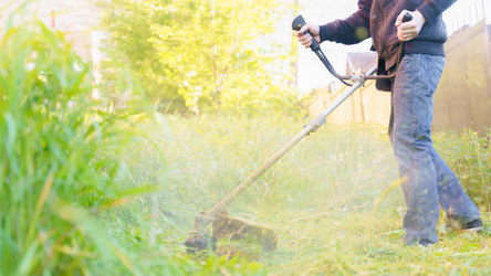 Similar image 21835379