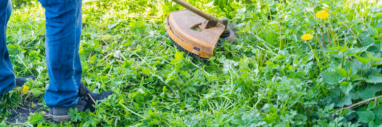 Similar image 21835380