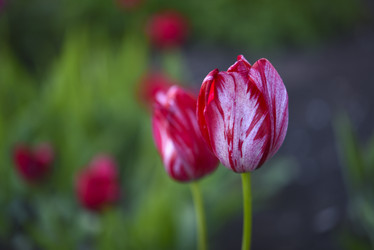 Similar image 21835381