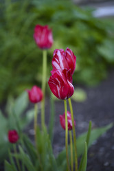 Similar image 21835383