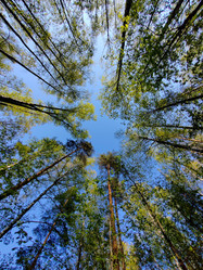 Similar image 21841299