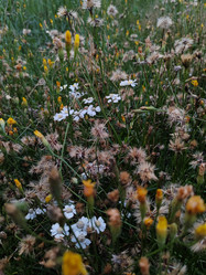 Similar image 21841301