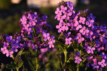 Similar image 21835443