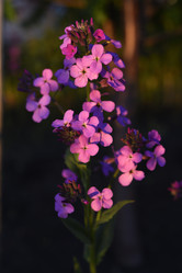 Similar image 21835444