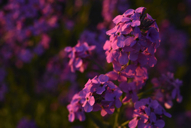 Similar image 21835446