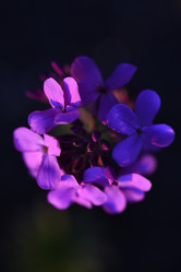 Similar image 21835447