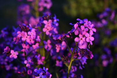 Similar image 21835449