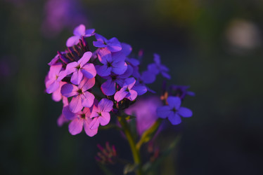 Similar image 21835450