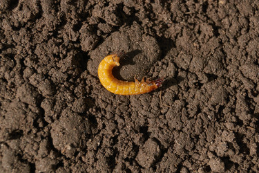 Similar image 21836763