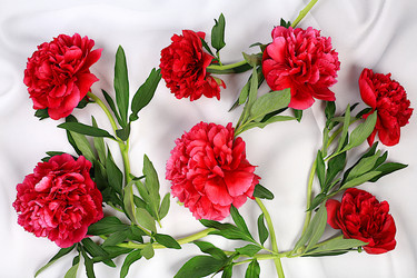 Similar image 21835461