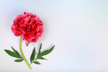 Similar image 21835463