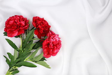 Similar image 21835464