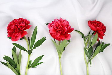 Similar image 21835469